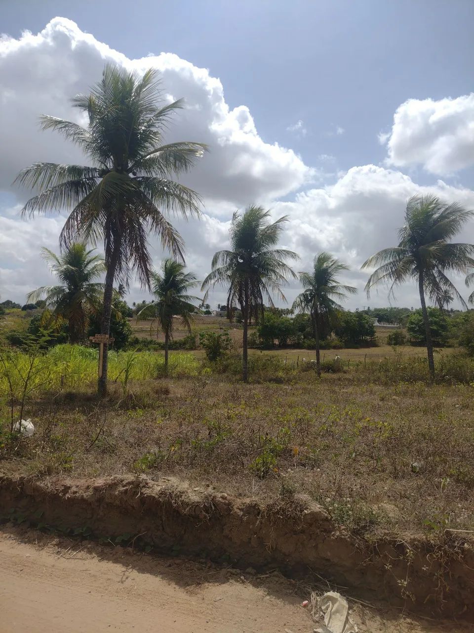 Foto - Santa Rita - Popular