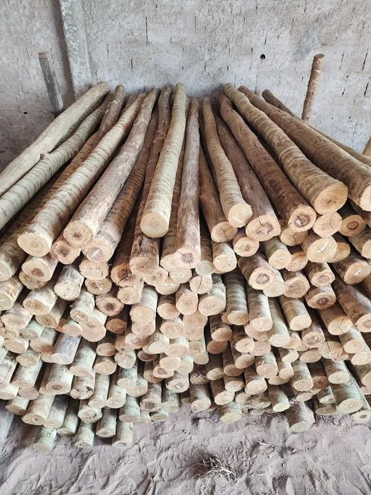 Treated Eucalyptus436600745765775361