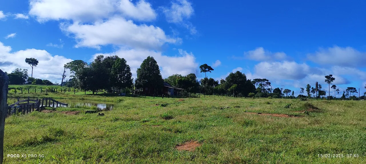 Vende se fazenda, em Porto acre com 110hec