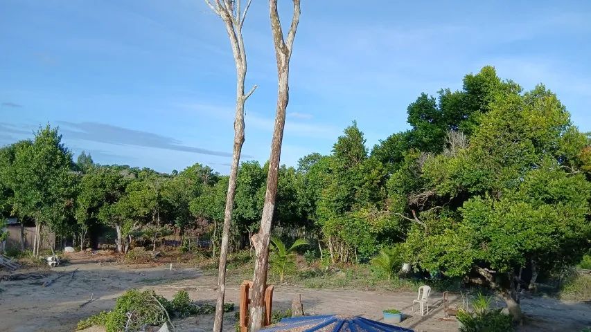 Terrenos em Porto Seguro Alto Mundaí - Foto 4