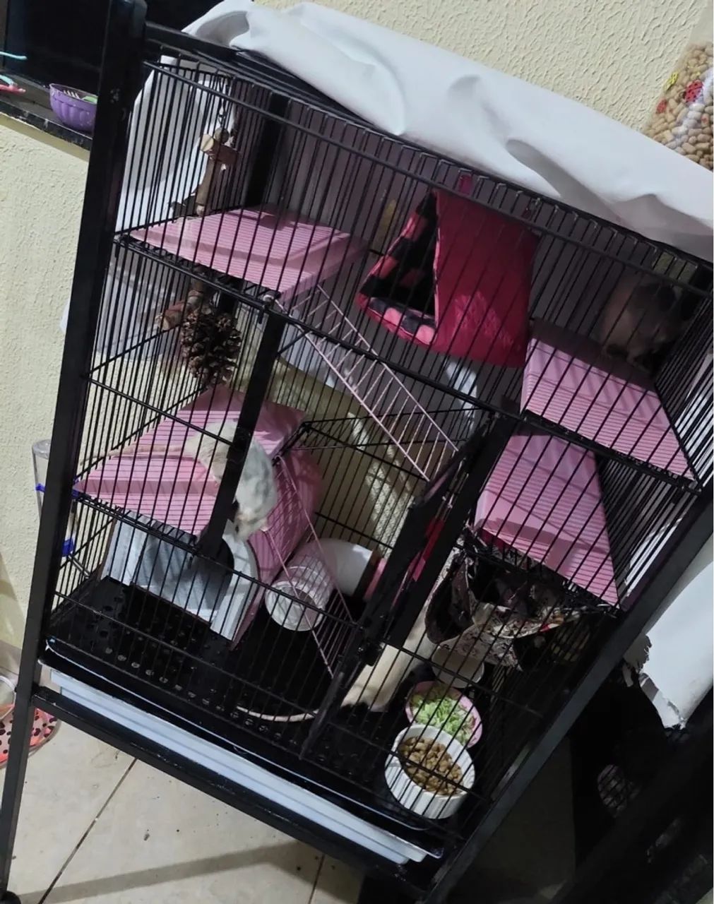 Vende-se Gaiola com rato Twister