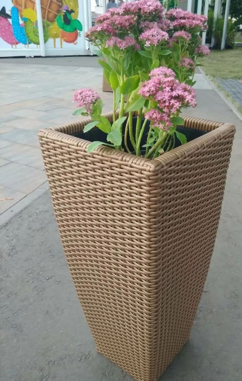 Vazos de plantas e cestode roupa a partir de 280 - Foto 2