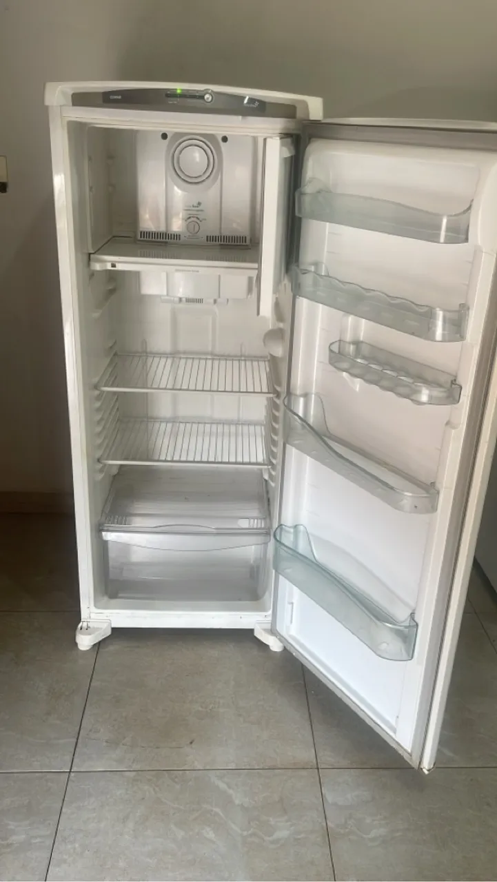 Geladeira consul frost free 342 litros