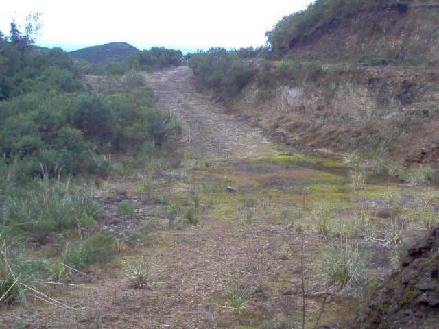 Terreno 102 hectares em Anitápolis-SC  - Foto 3