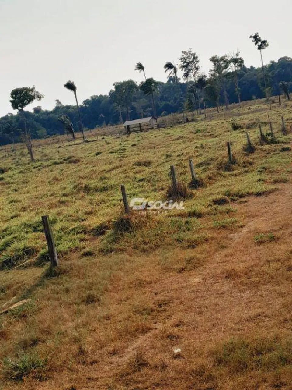 Sítio à venda, 575000 m² por R$ 900.000,00 - Área Rural de Candeias do Jamari - Candeias d