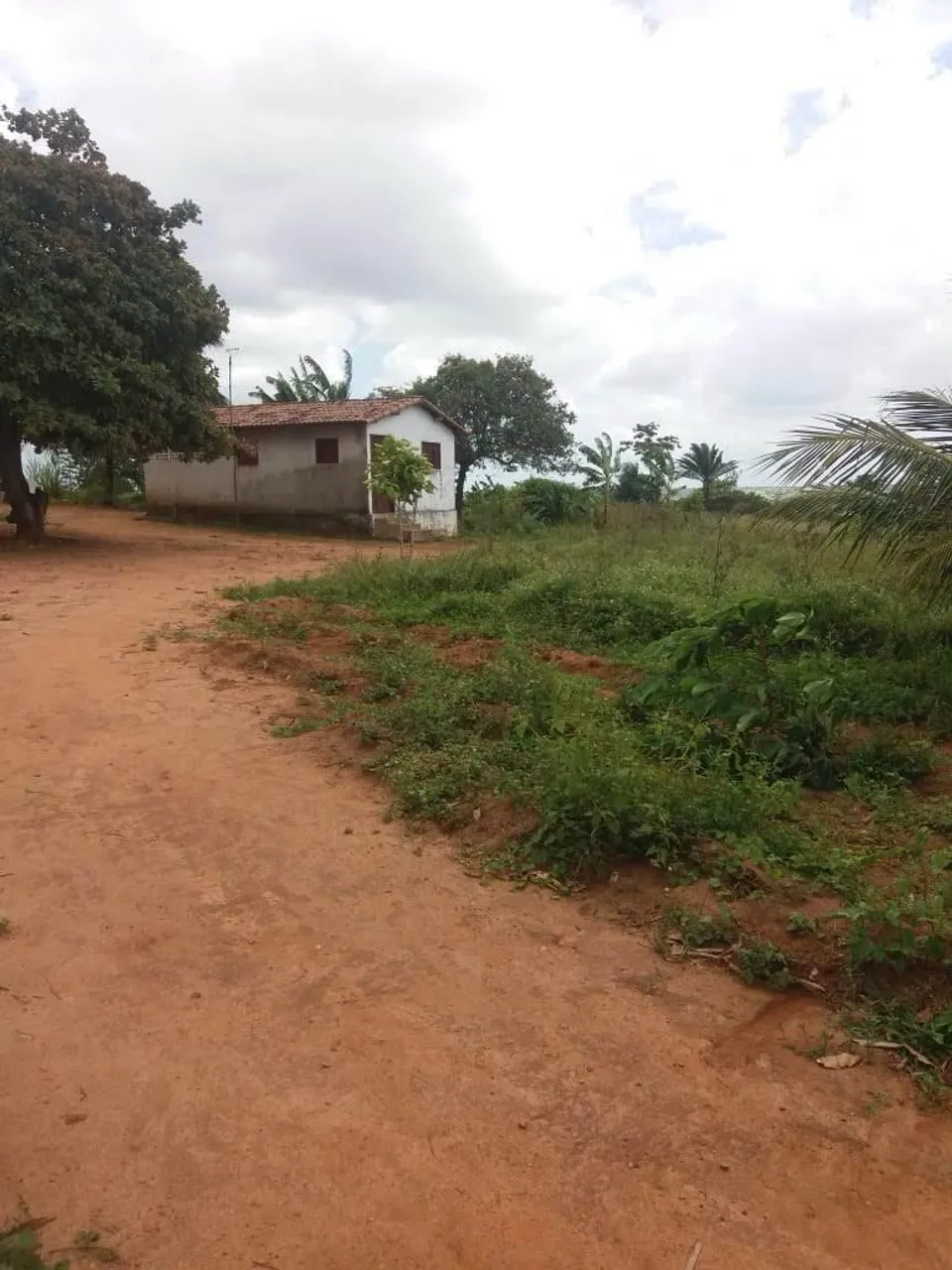 Granja em monte alegre RN