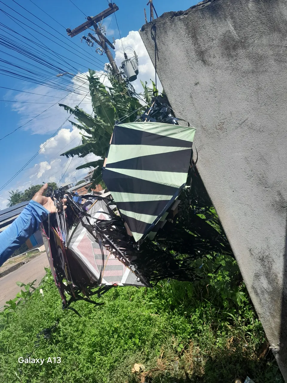 Rabiola