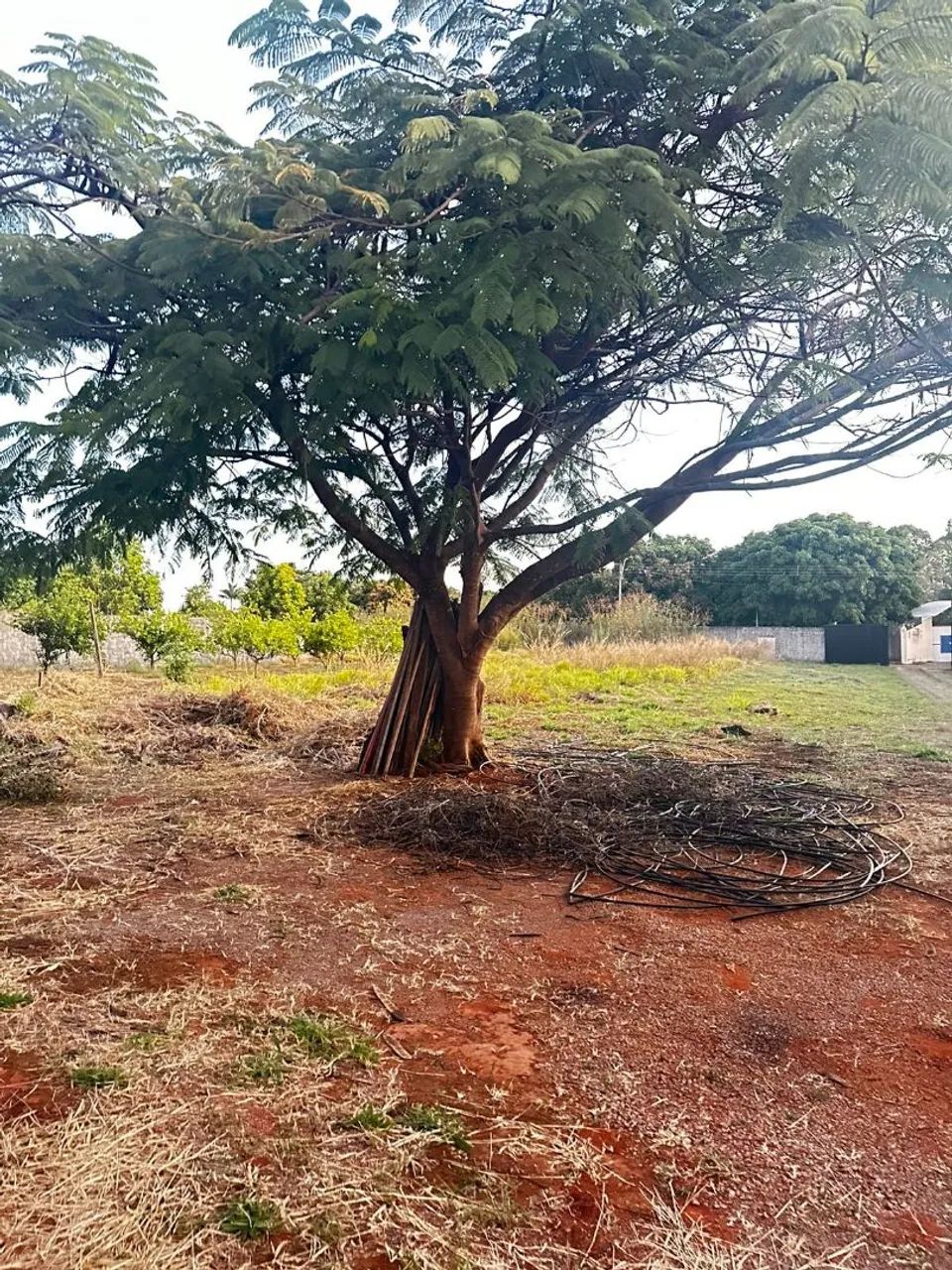 GALINHA MORTA LOTE DE 3.300 M² COM CASA SIMPLES DE 3 QUARTOS - Foto 4