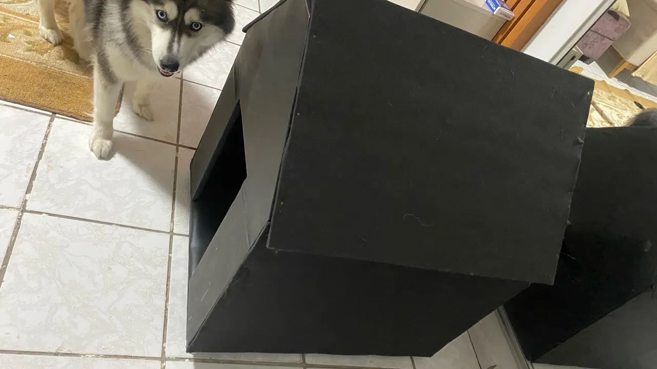 Vendo casa de cachorro 100 reais pra vende logo zap *90 - Foto 2