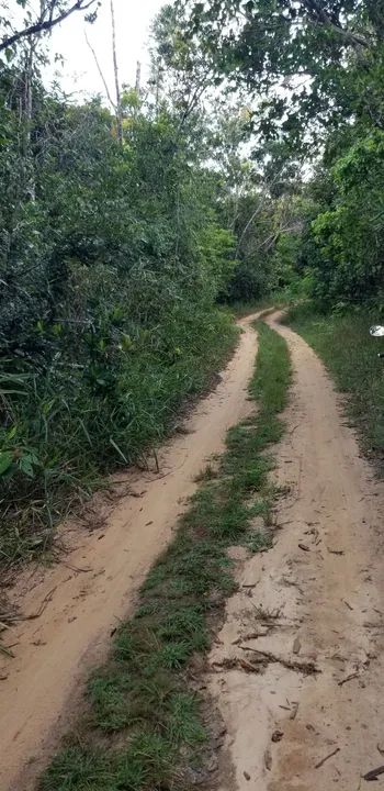 Terreno em área verde com acesso por estrada de terra