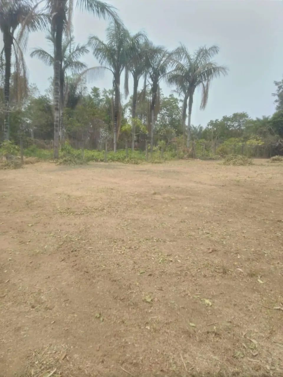 Terreno em área verde com árvores - Foto 2