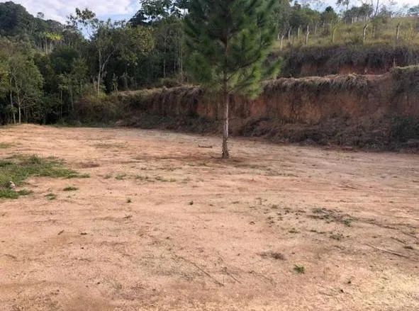 Terreno no Beija Flor - Foto 3