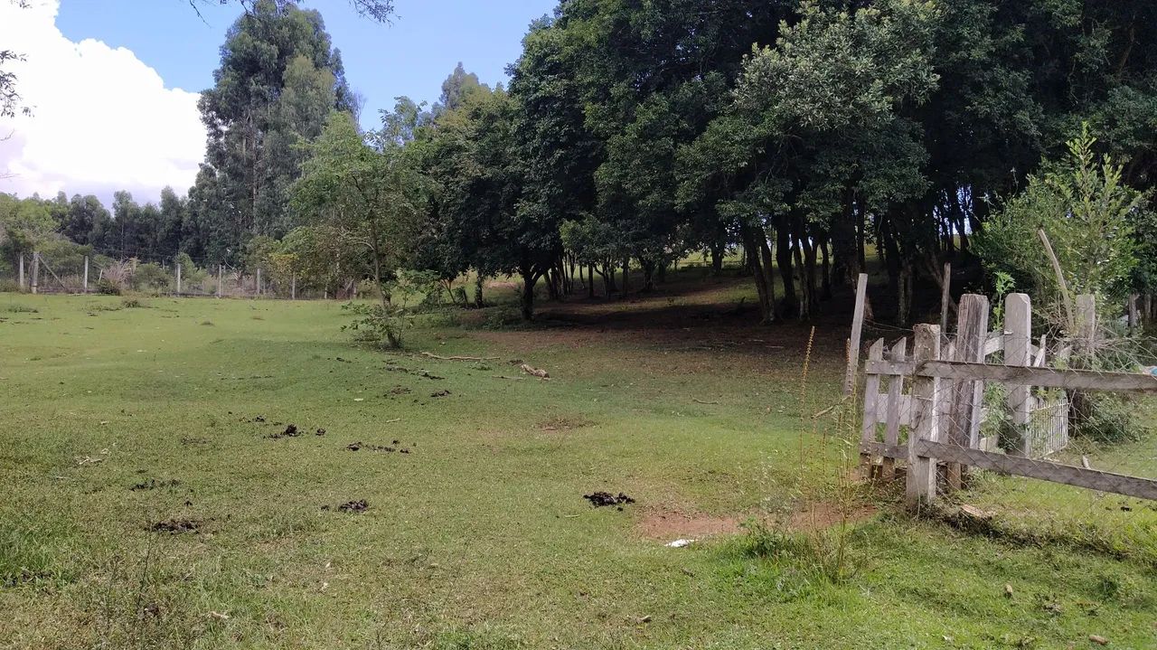 Chácara ,bela vista  - Foto 3