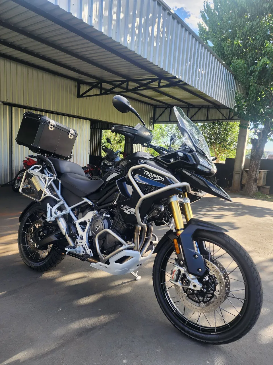 Vendo tiger rally pro 