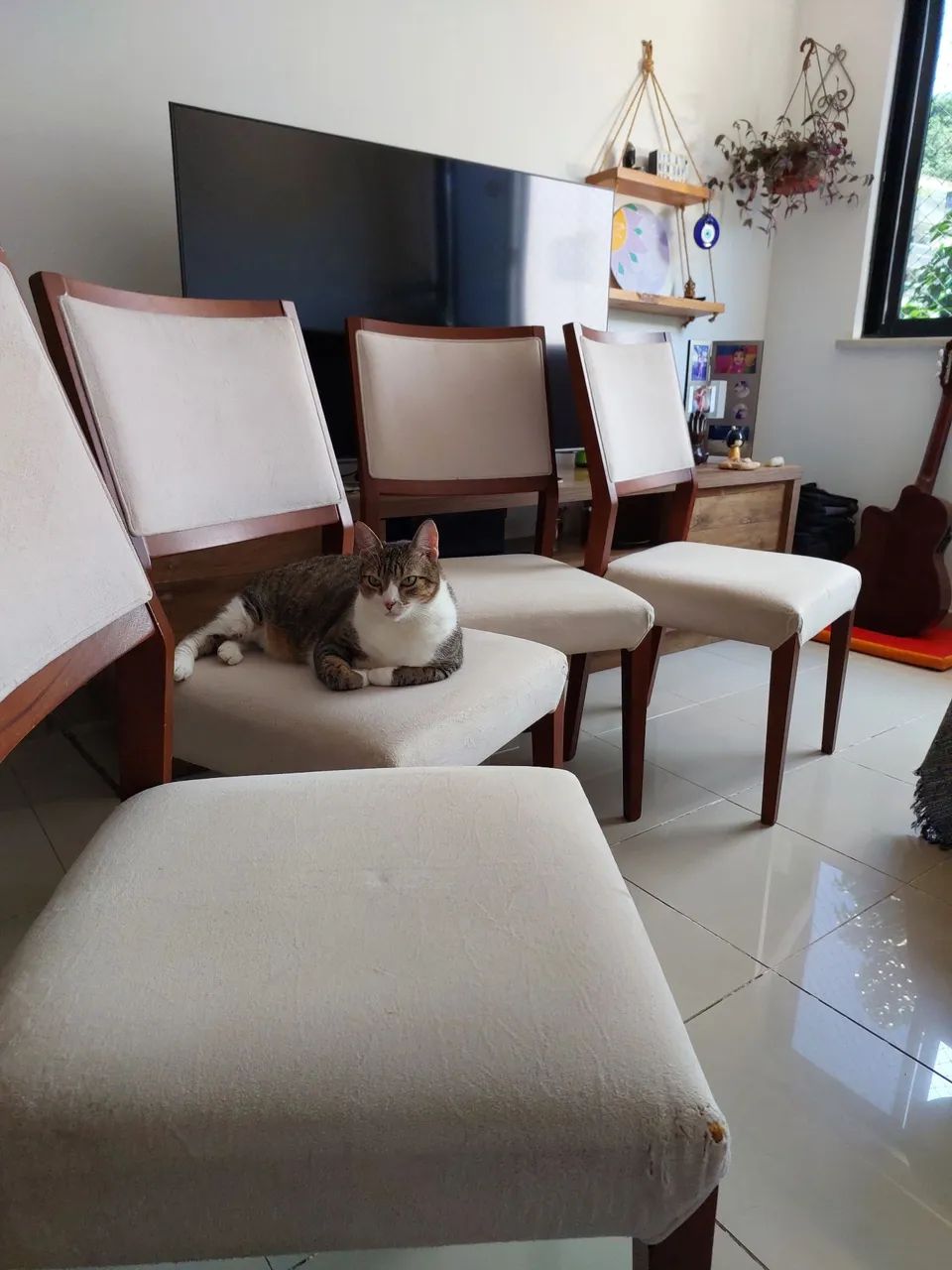CADEIRAS PARA MESA DE JANTAR (conjunto de 4 lugares) - Foto 3