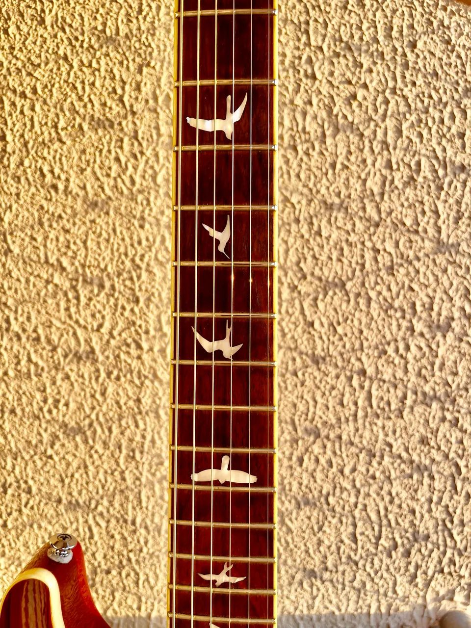 Guitars PRS Custom 24 SE Zebrawood - Foto 5