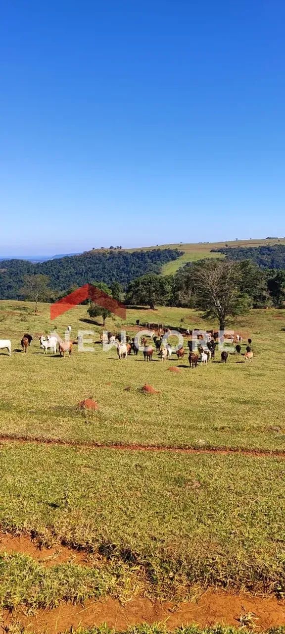Sítio em Alameda dos Spathodeas - Parque das Cascatas - Botucatu/SP - Foto 3
