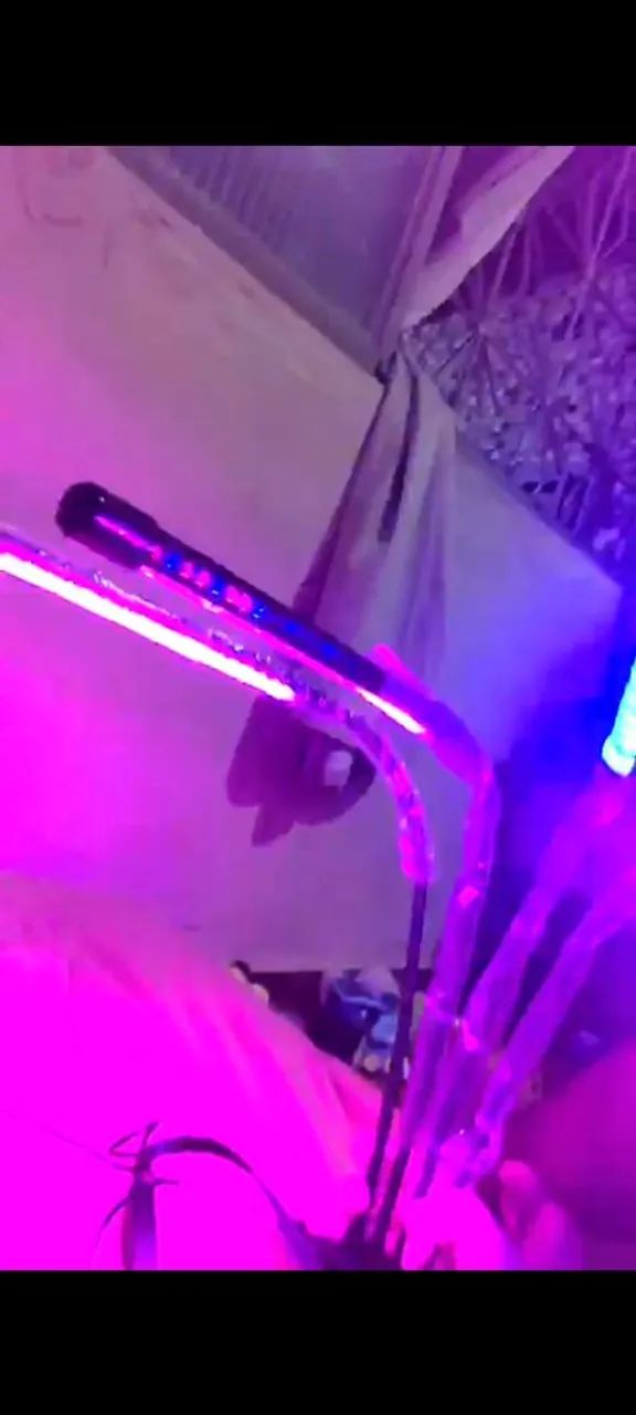 Luminaria de plantas e aquario - Foto 3