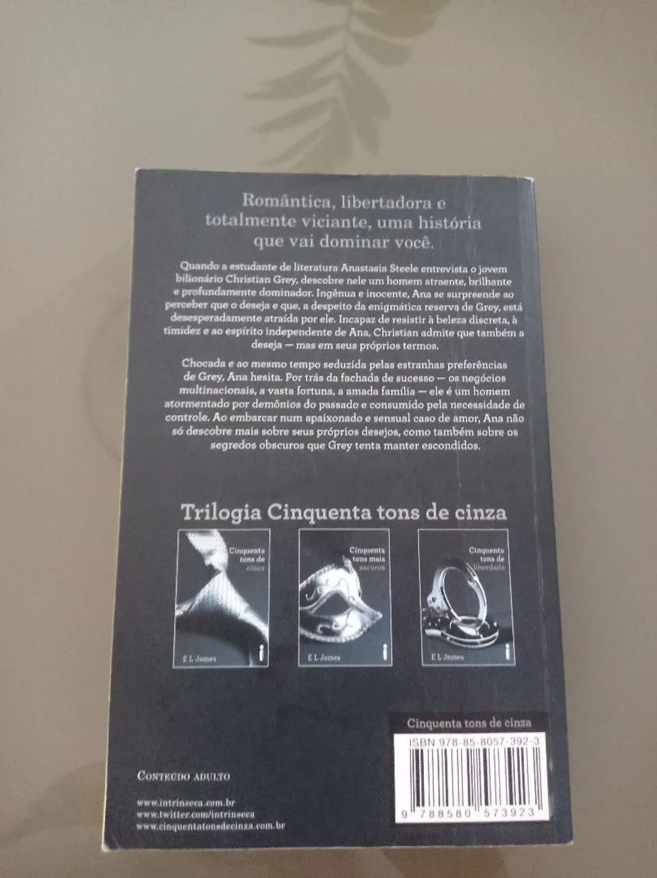 Cinquenta Tons de Cinza - capa comum - Foto 3