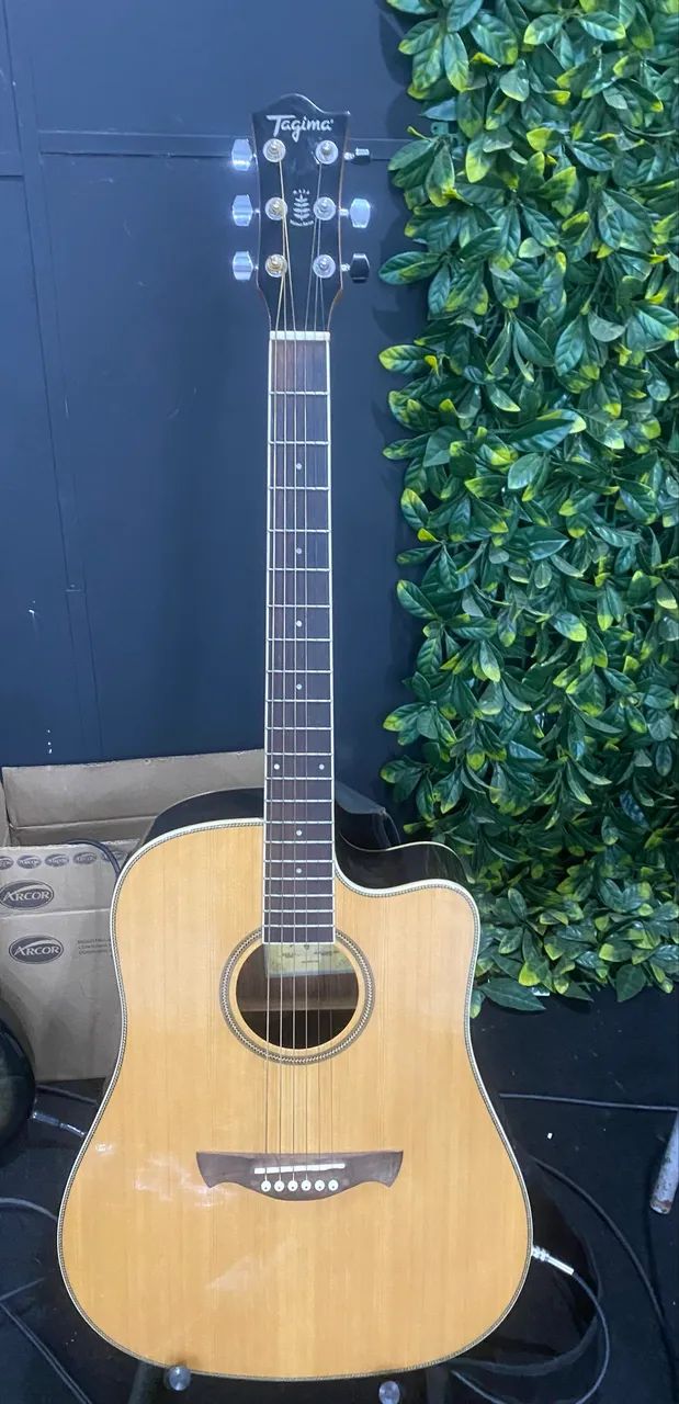 Violão Tagima WS-20 EQ (Walnut Series)  - Foto 2