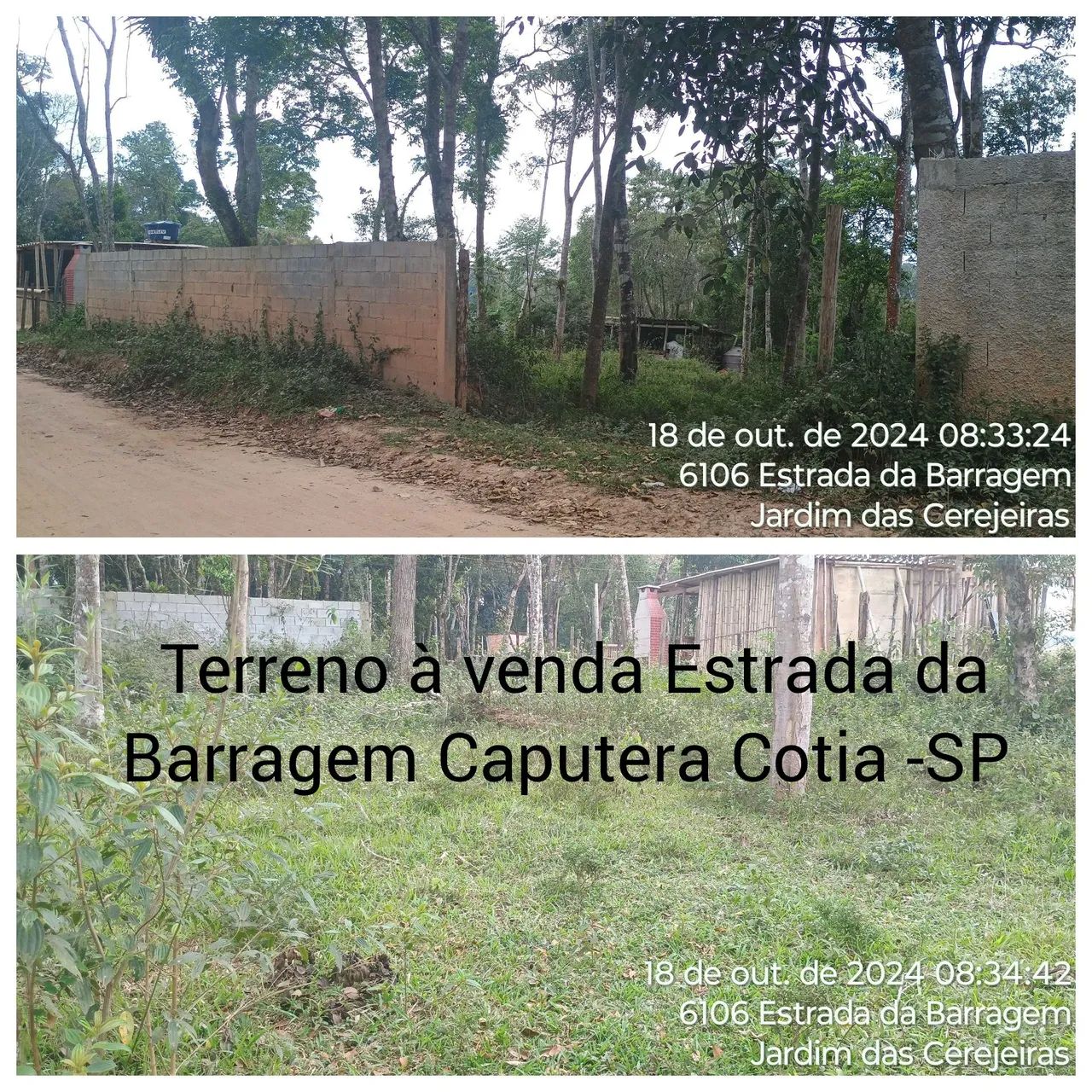 Foto - Taboão da Serra - Parque Pinheiros