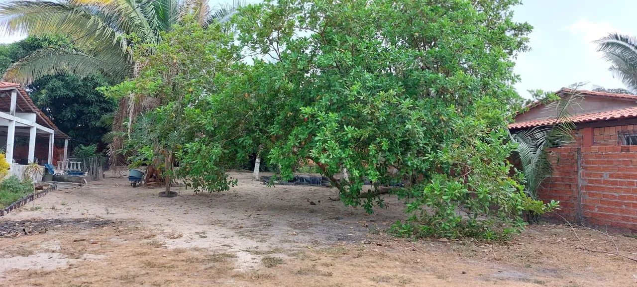 VENDE SE ESSE SÍTIO  - Foto 5