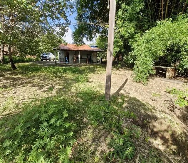 ? Vende-se Sítio na Beira do Rio - Povoado São Raimundo - Foto 4