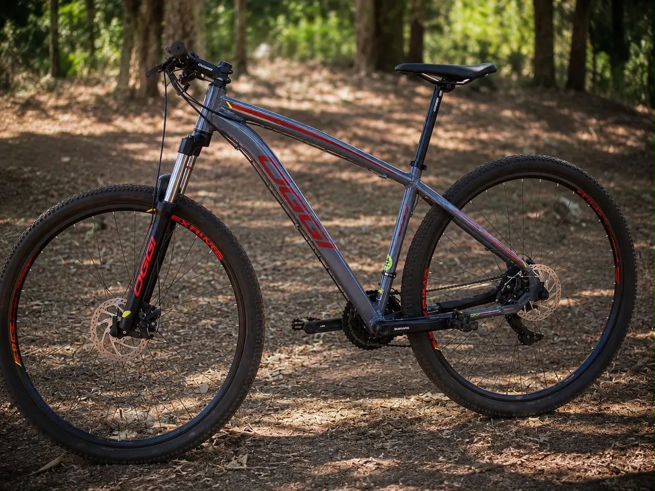 Bicicleta 