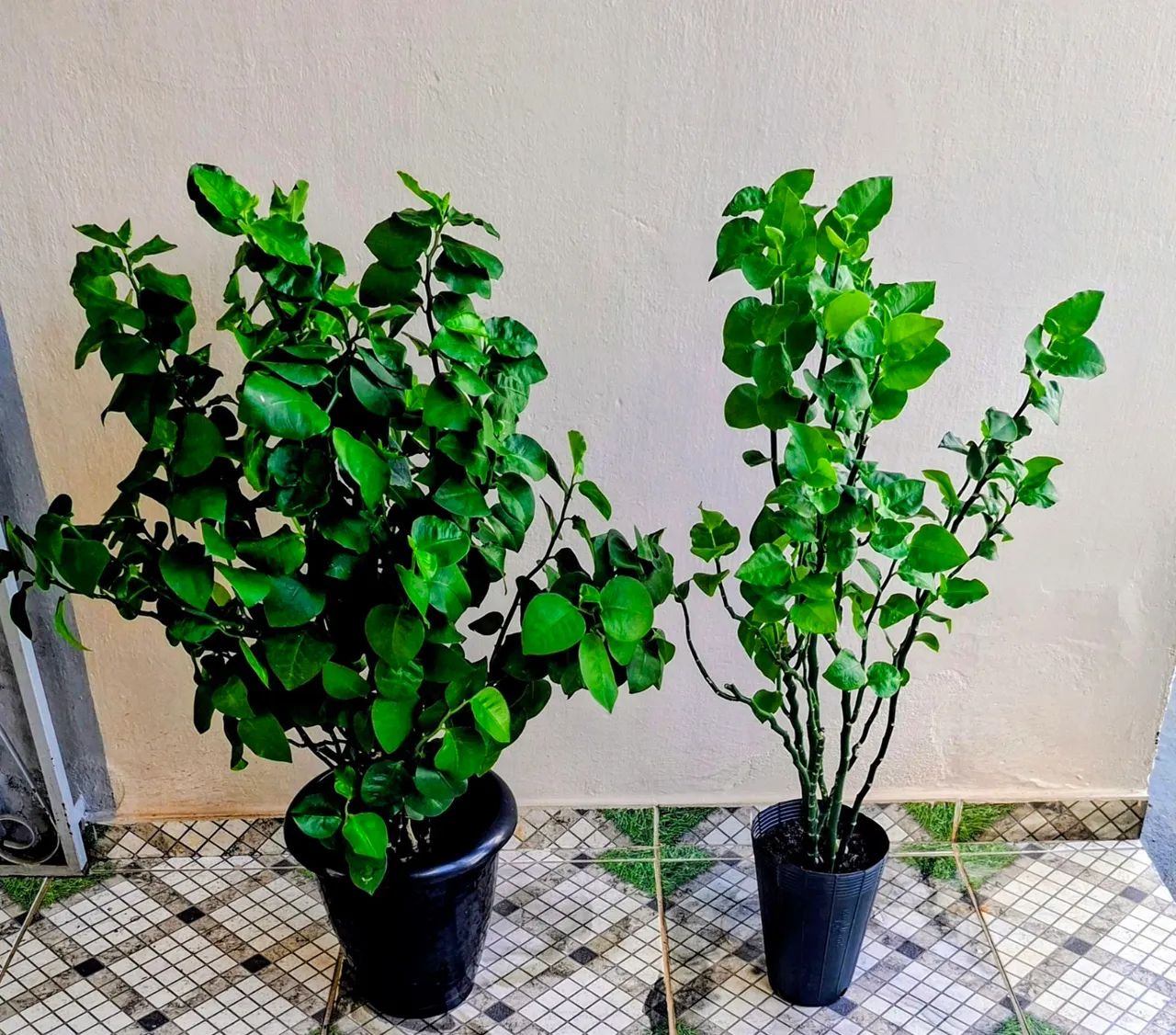 Vendo  - Foto 2