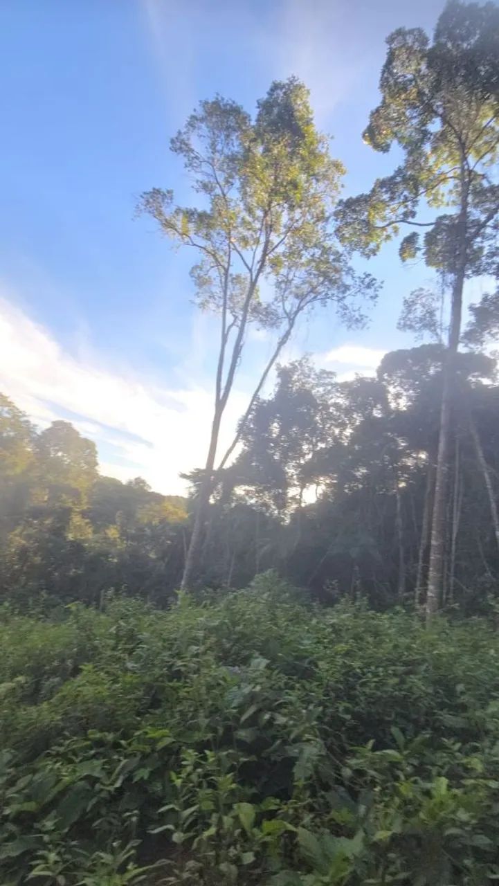 CHÁCARAS lado pousada Thomas, DE 5.000m², NÃO É APENAS UM TERRENO. É LIBERDADE. Parcelo - Foto 5