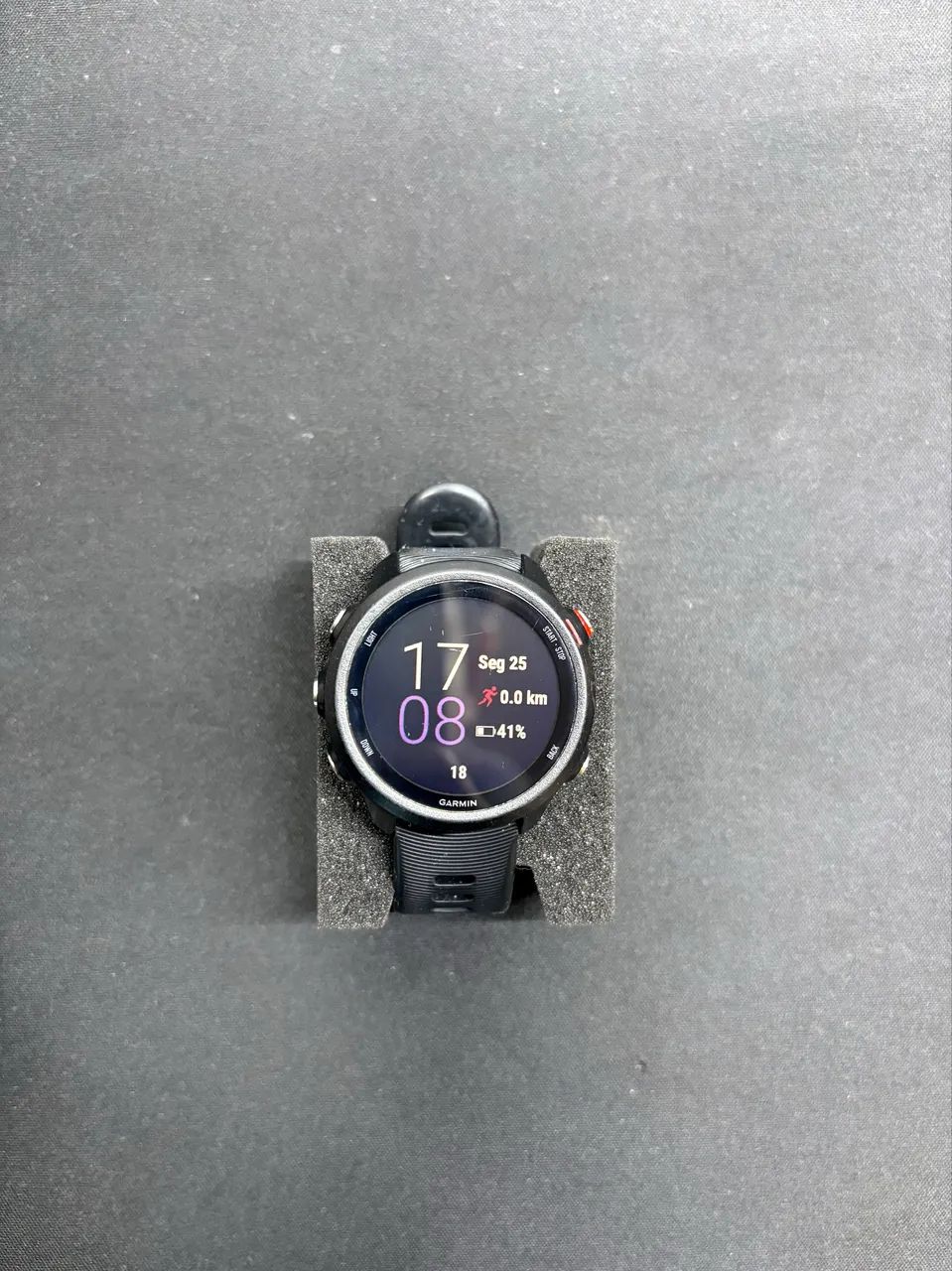 Garmin Forerunner 245 Music - Foto 5