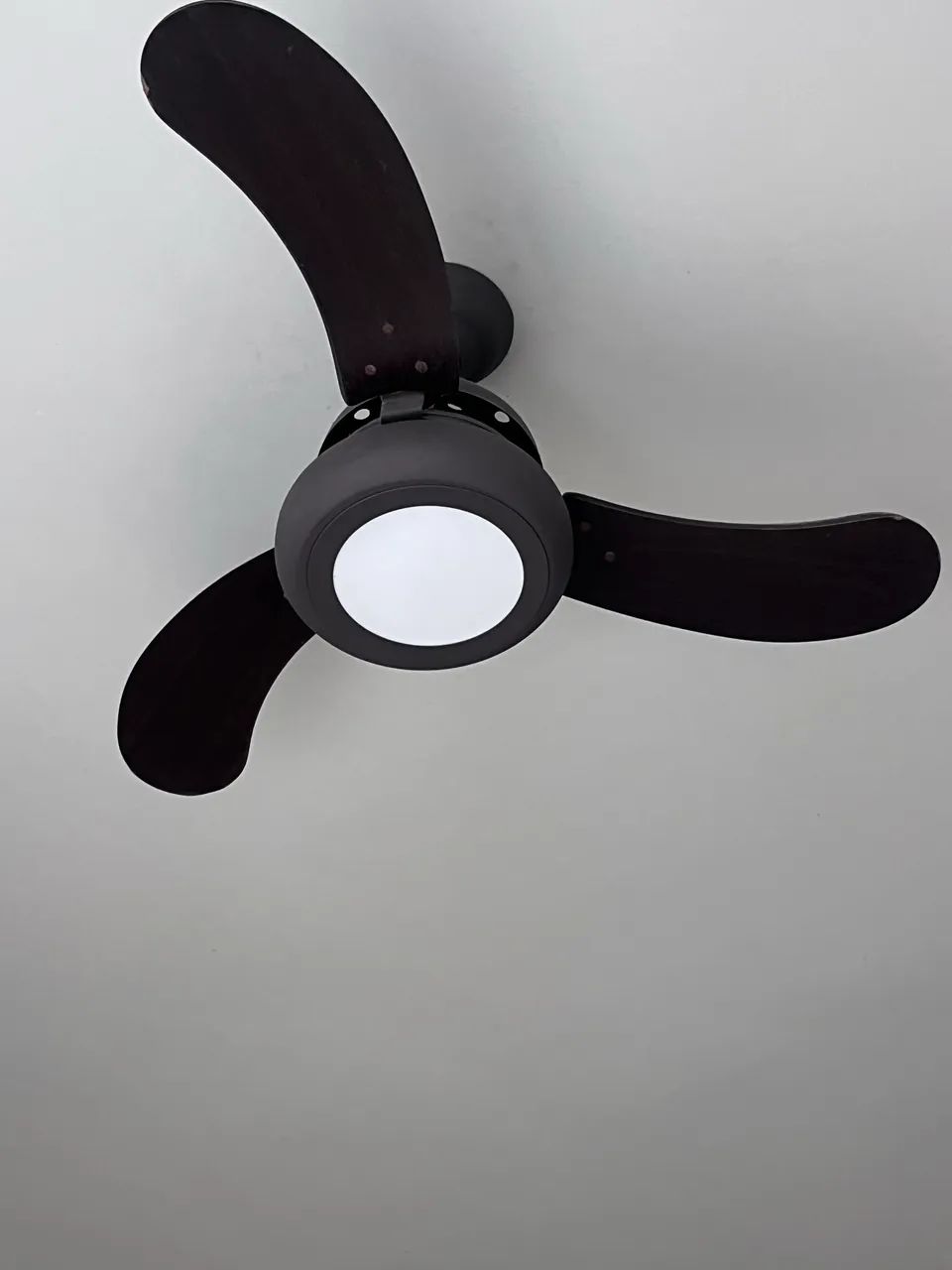 Ventilador de teto 