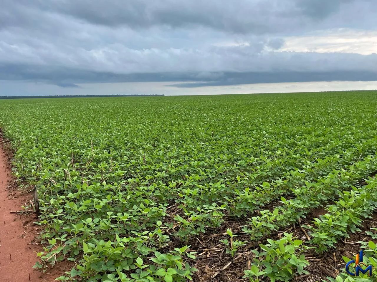 Fazenda em Querencia - Foto 2