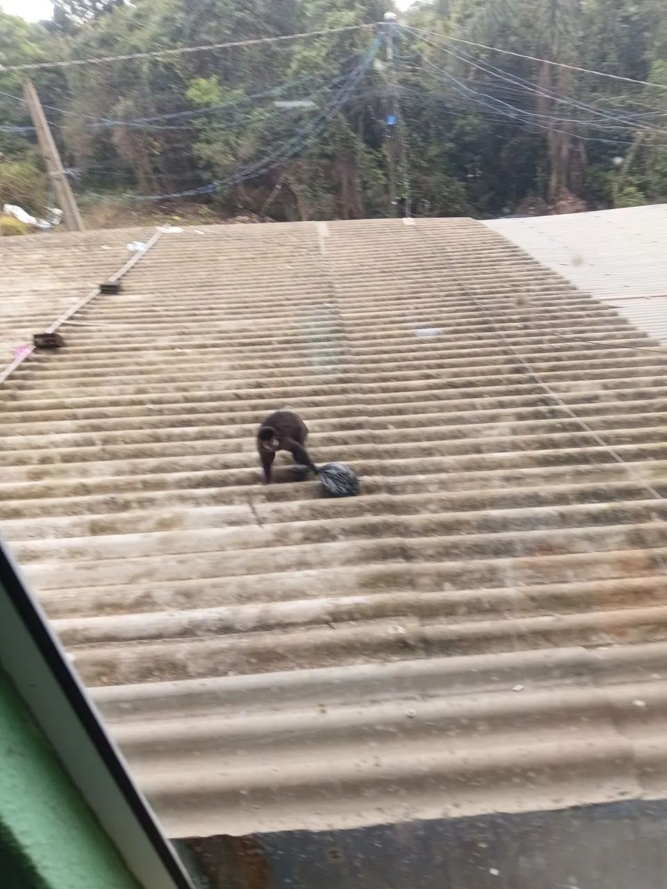 Serviço eu 