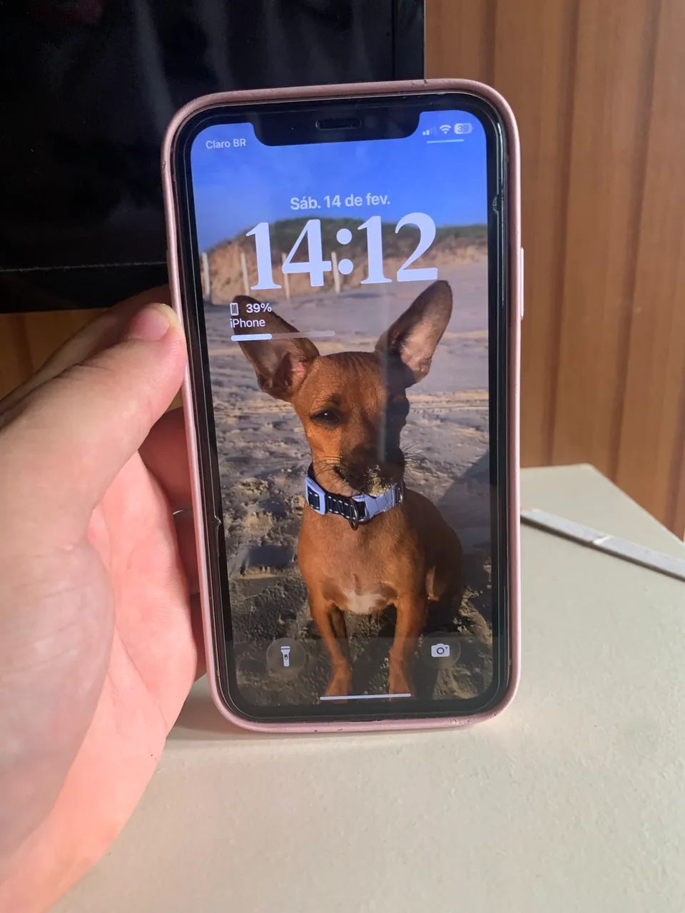 Vendo iPhone 11 novinho 