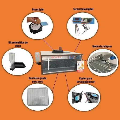 Chocadeira 72 ovos  - Foto 4