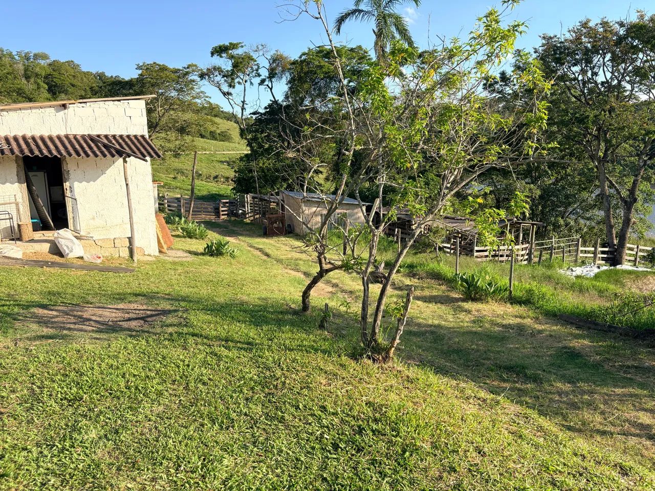Sítio a venda  - Foto 2