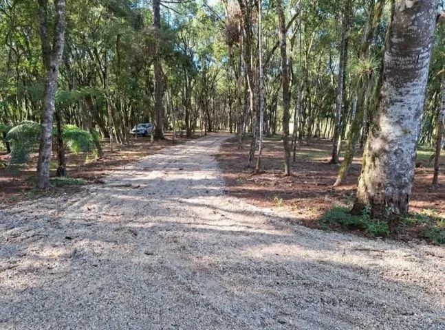 Chacara Rio negro 27.500m2 - Foto 3