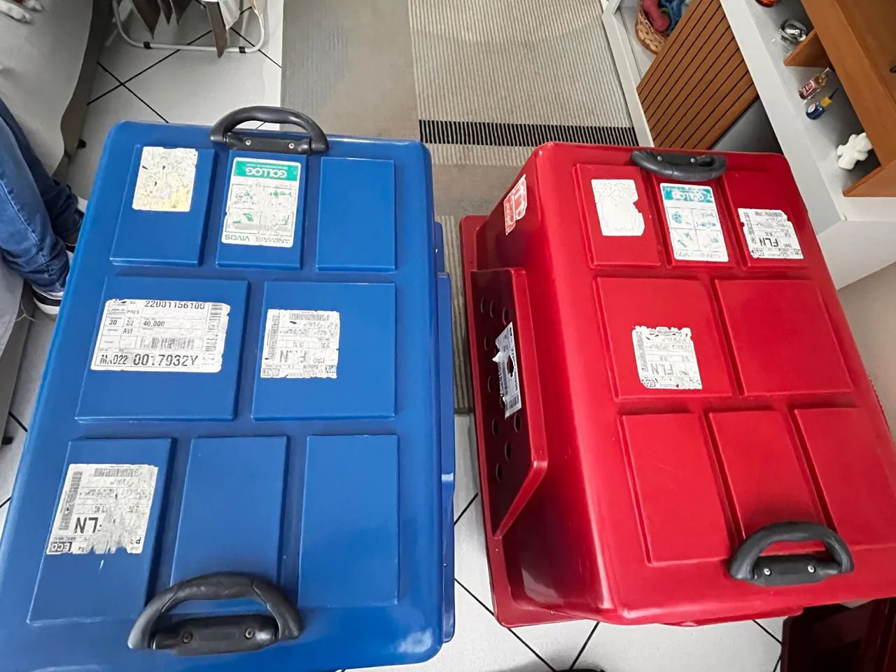 Caixa para transporte Pet - Foto 3
