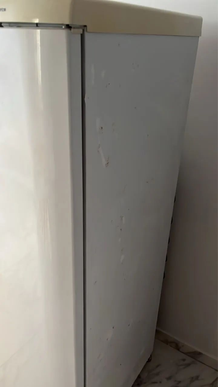 Geladeira Electrolux 450 - Foto 5