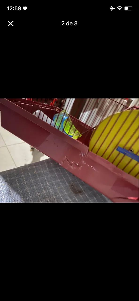 Gaiola hamster