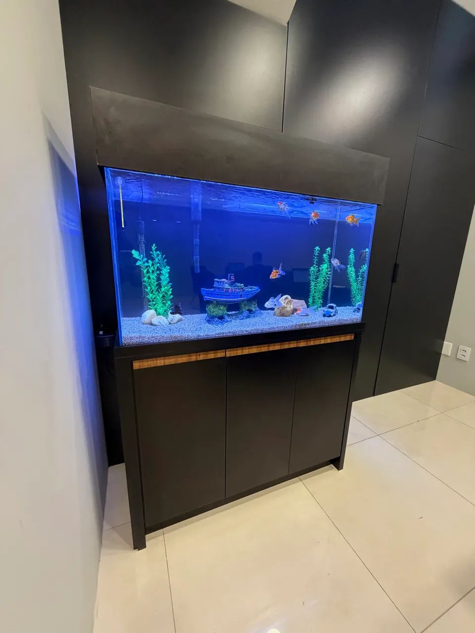AQUARIO - Foto 2