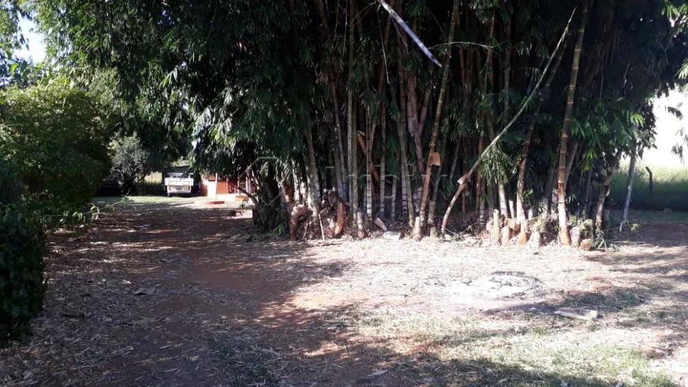 Rural Chácara em Nova Odessa - Foto 2