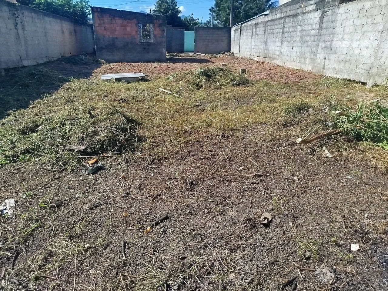 Terreno - Foto 5