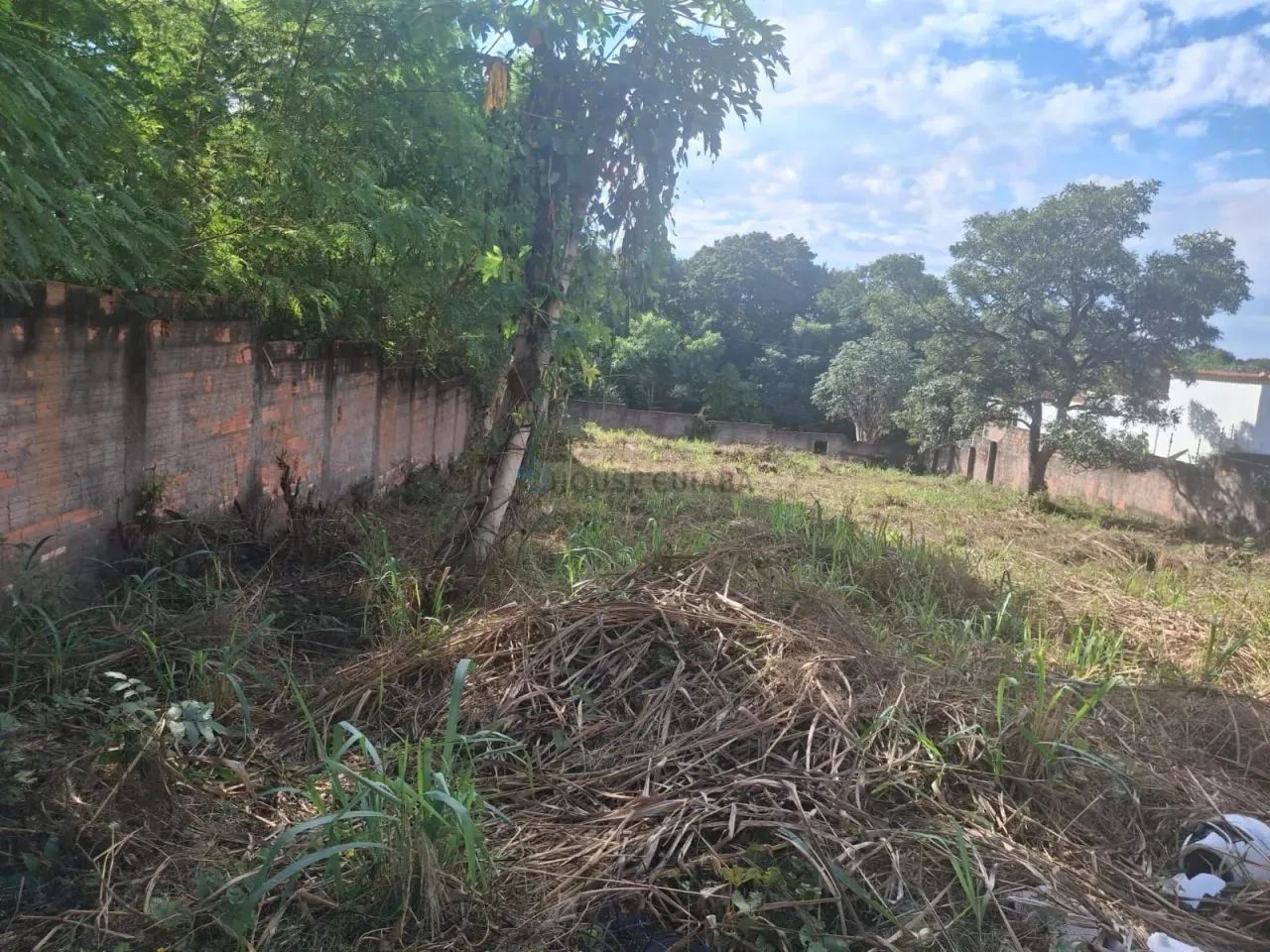 Oportunidade! Terrenos à venda  Santa Marta - Foto 2