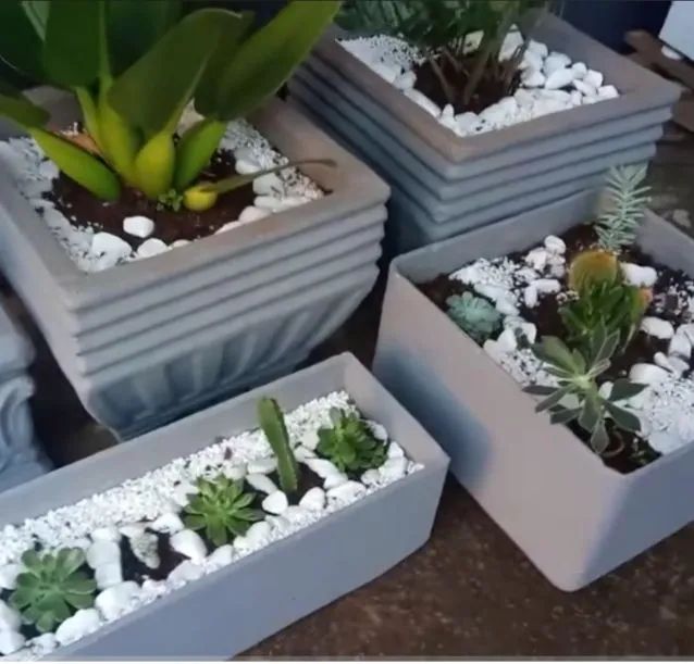 Serviço de jardinagem  - Foto 5