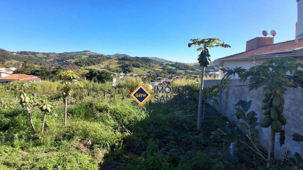 TERRENO PLANO COM 250 m² - MONTE ALEGRE DO SUL - Foto 3