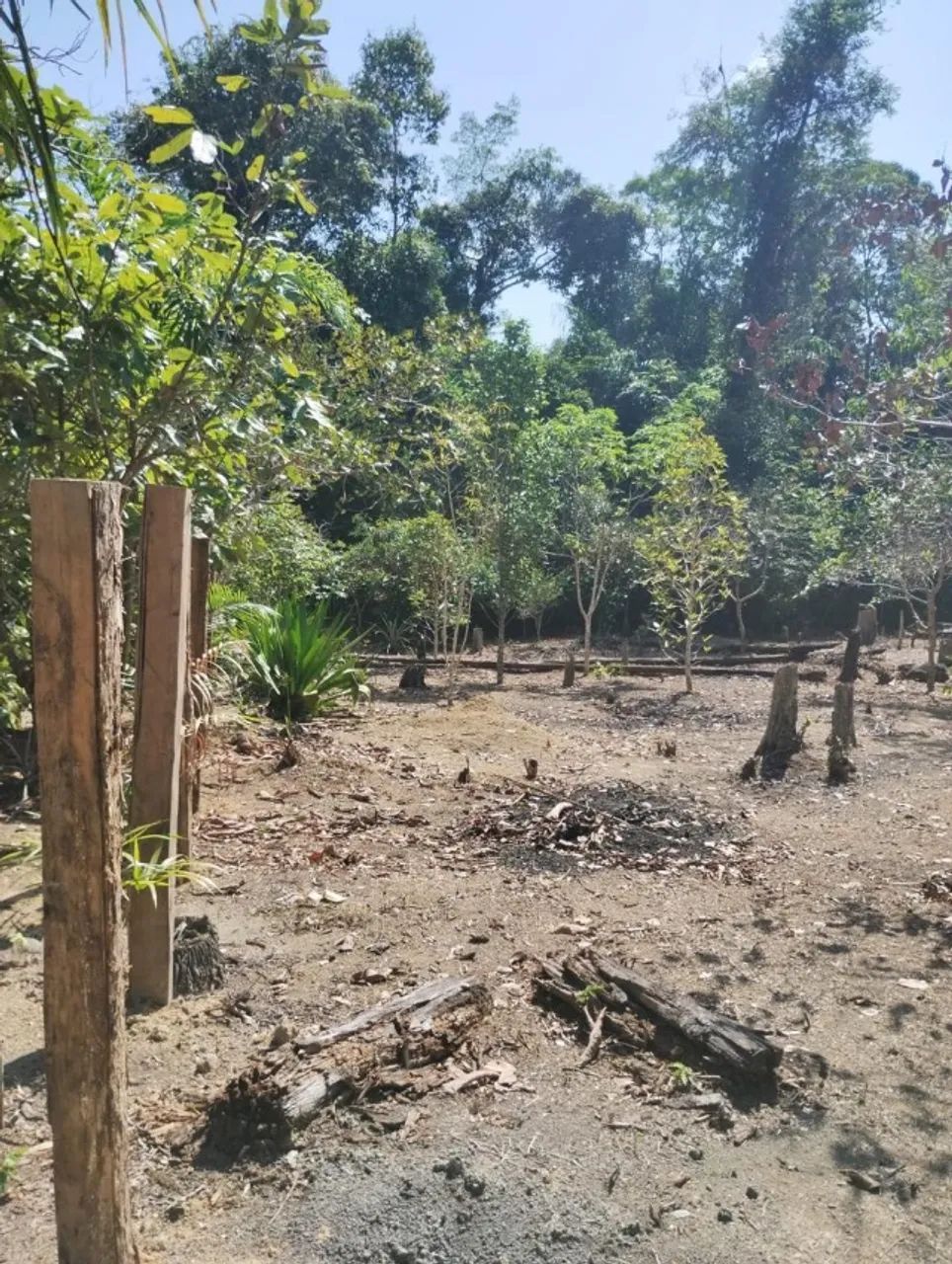 Terreno no ramal Água Branca 1 - Foto 3