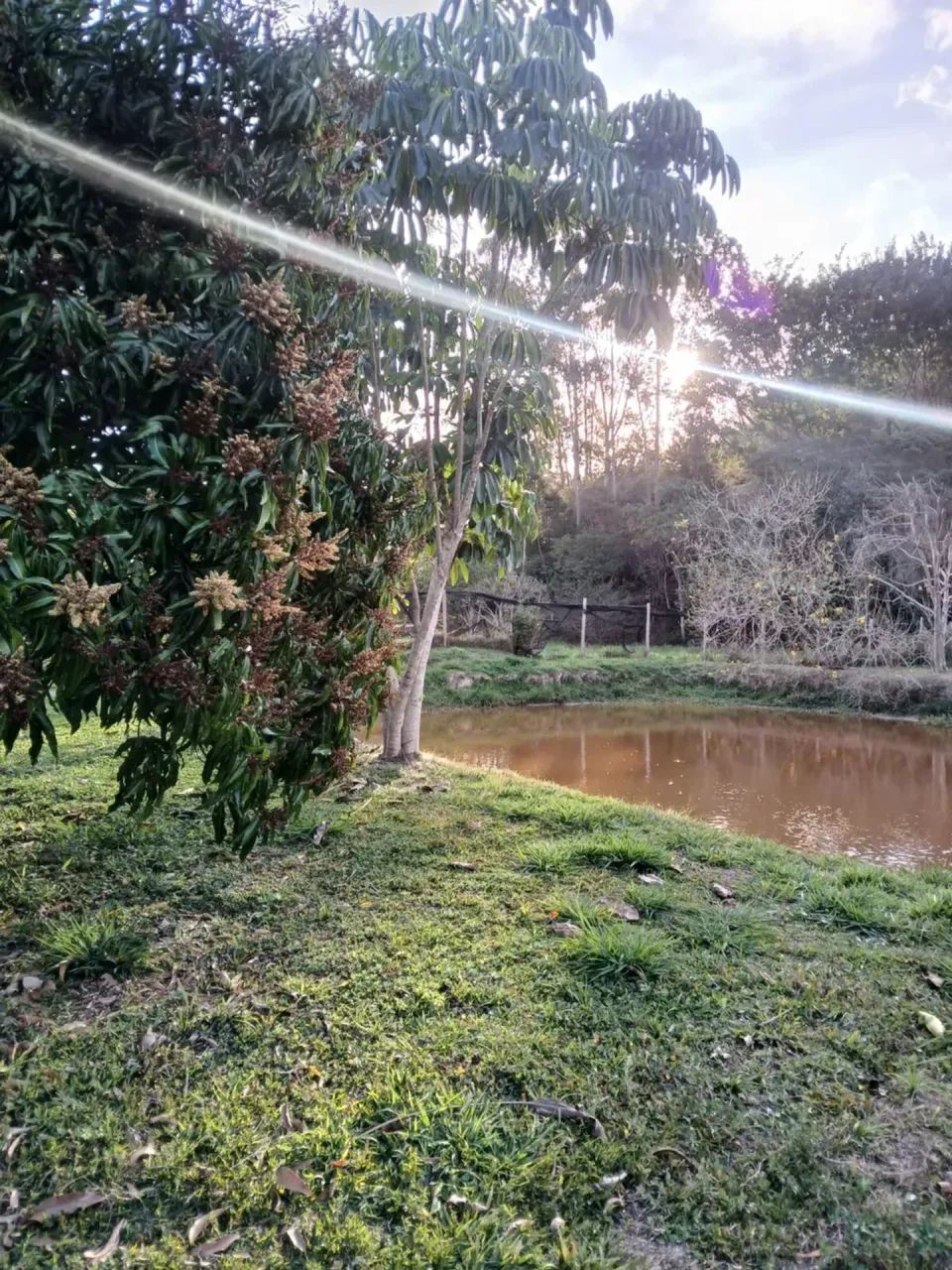 SÍTIO CHARMOSO COM LAGO - Foto 4