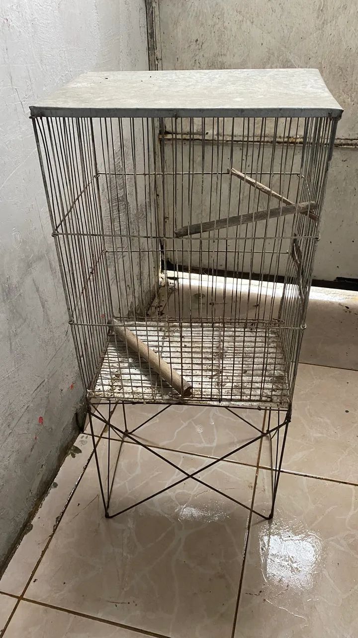Gaiola  - Foto 2